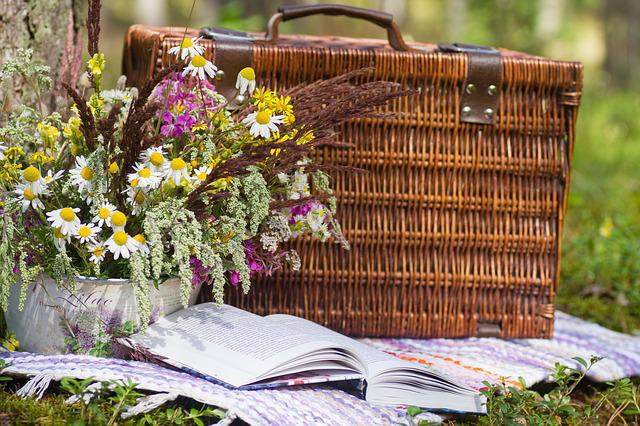 Einladung nach Geinsheim - zum Picknick-Familiengottesdienst zum Thema: Schöpfung