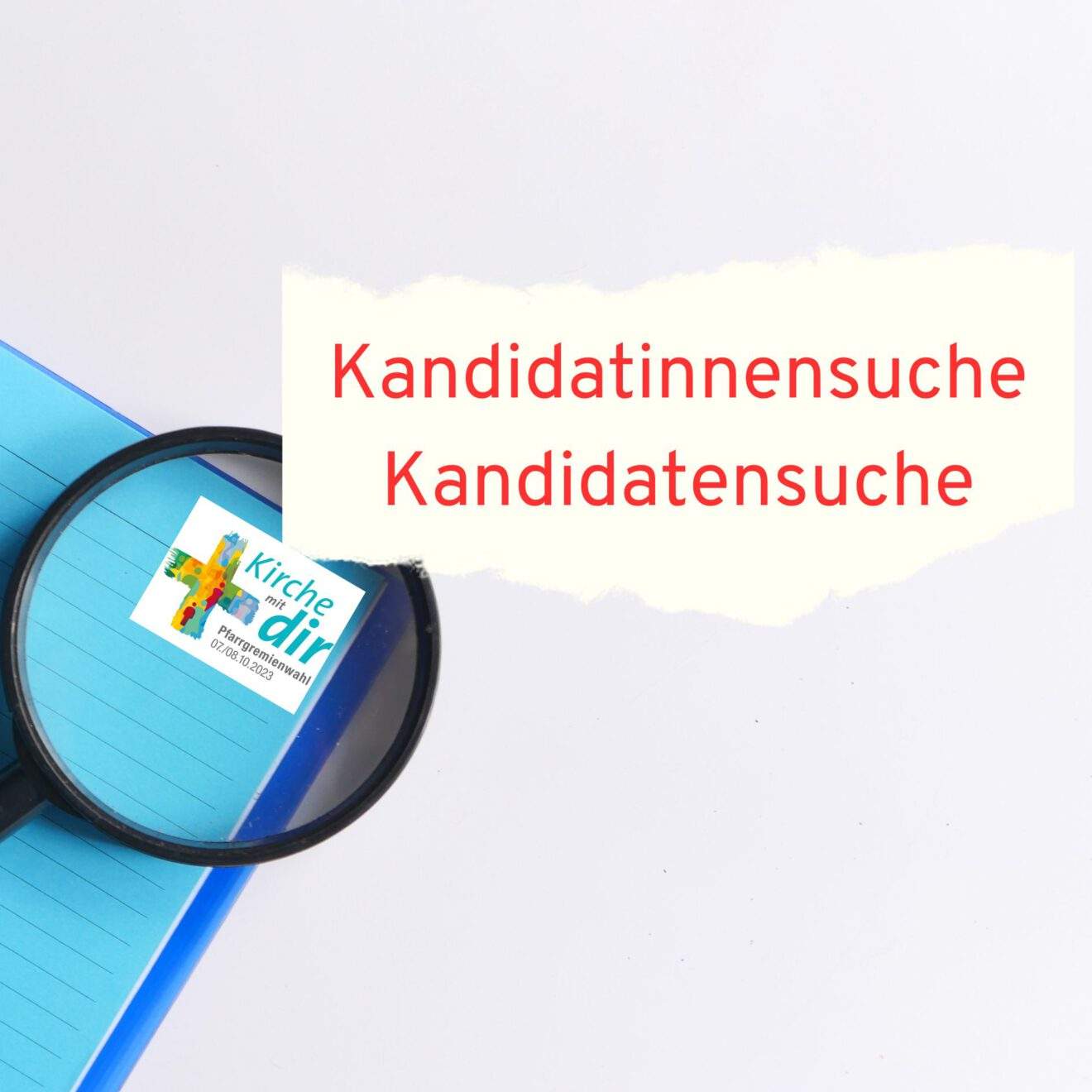 Kandidatinnen und Kandidaten vorschlagen - oder selbst kandidieren