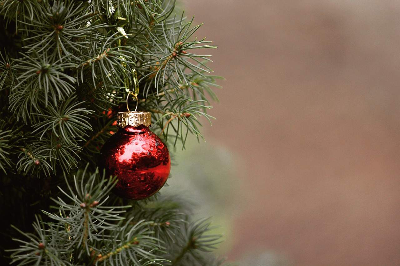 Wir warten aufs Christkind - Weihnachtskinderbetreuung der Malteser Jugend Hambach